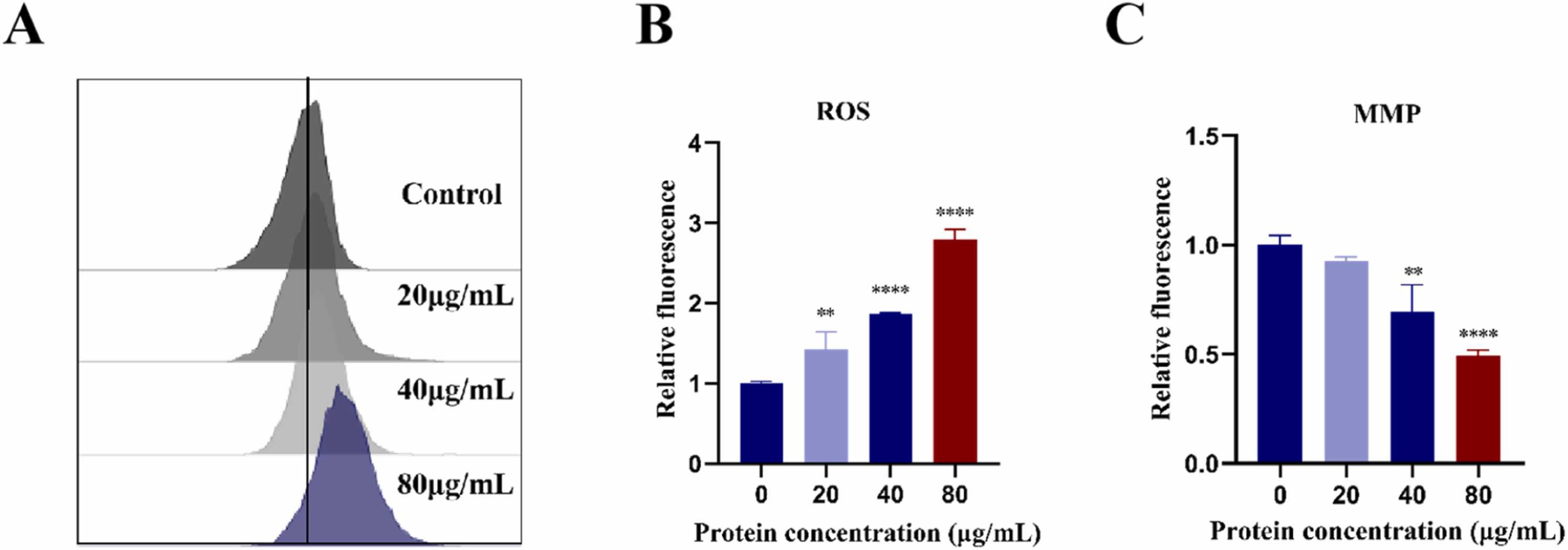 Centella asiatica-derived nanovesicles increase ROS levels and decrease mitochondrial membrane potential in HepG2 cells, contributing to anticancer effects.